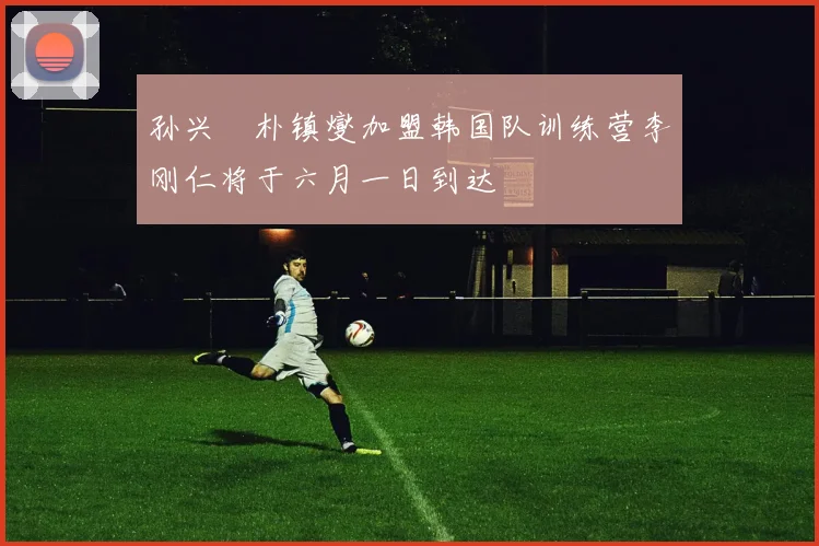 孙兴慜朴镇燮加盟韩国队训练营李刚仁将于六月一日到达